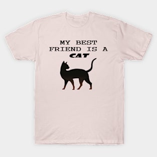 cat lover gifts t-shirt T-Shirt